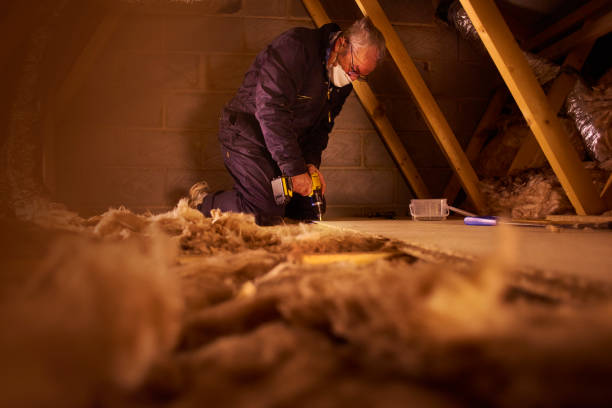 Best Types of Insulation in Parkwood, CA